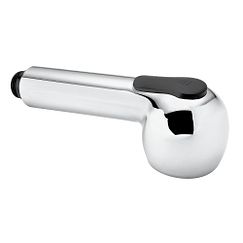 Pullout spout