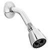 Showerhead/Arm/Flange