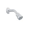 Showerhead/Arm/Flange