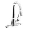 One Handle Kitchen with Pulldown