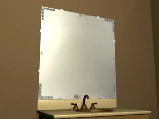Mirrorscapes